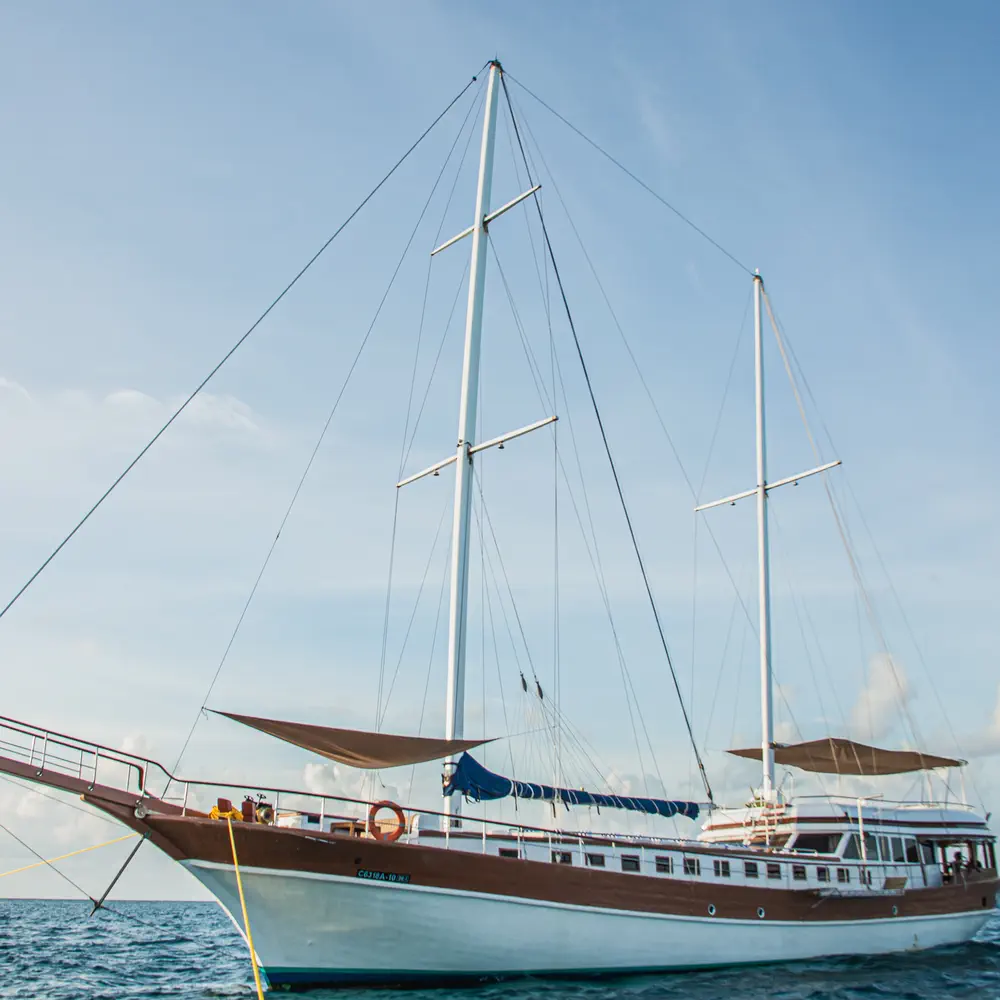 Main image of gulet, Gulet Akoya Pearl