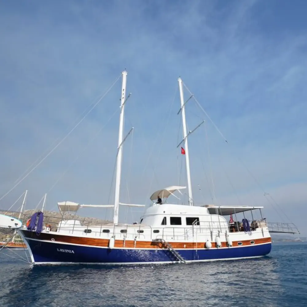 Lavinia 6