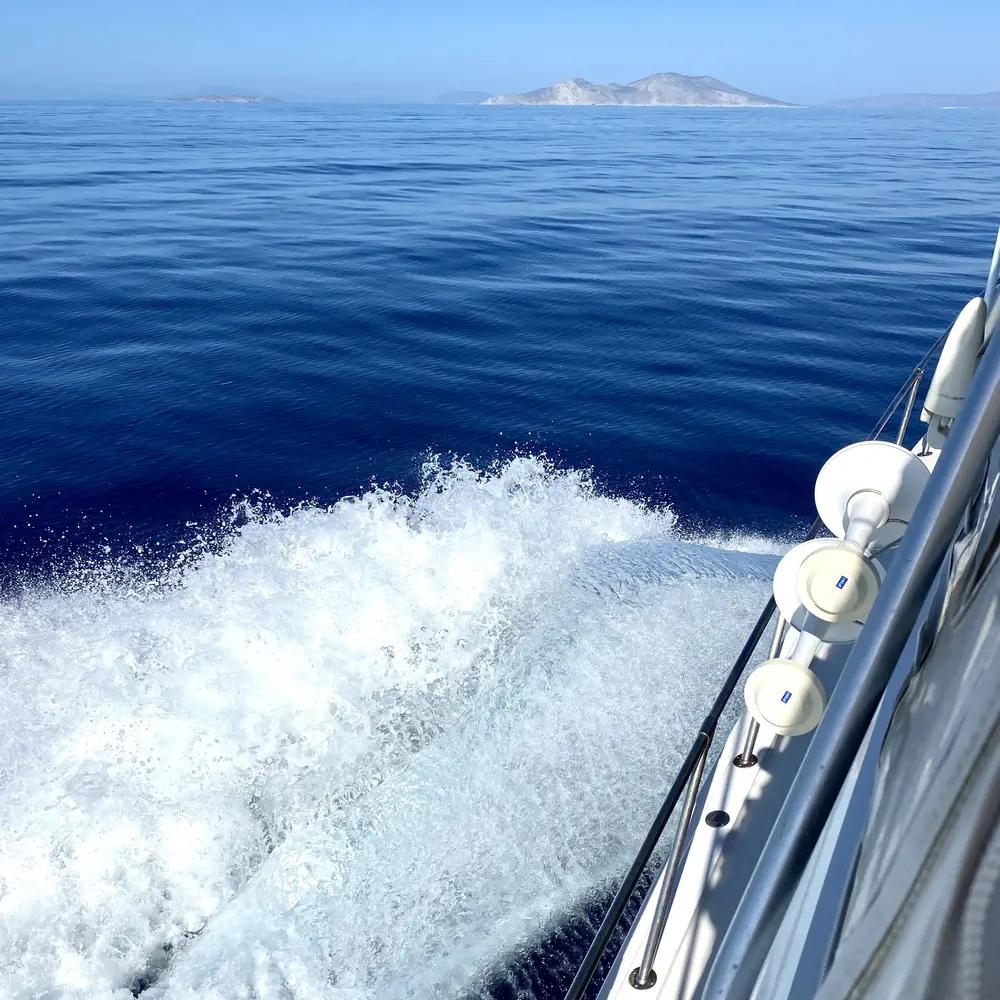 Tipejyas 25