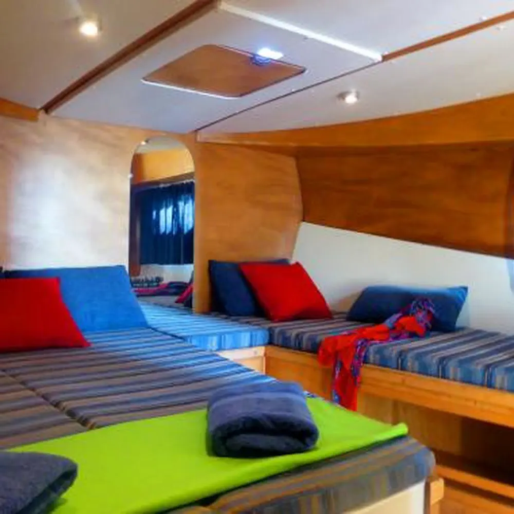 NCF Suite 10