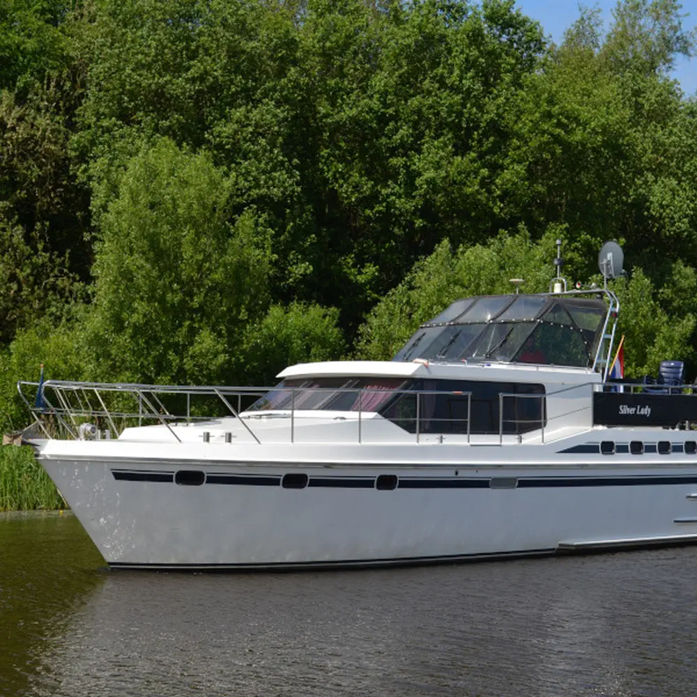 Silver Lady 3