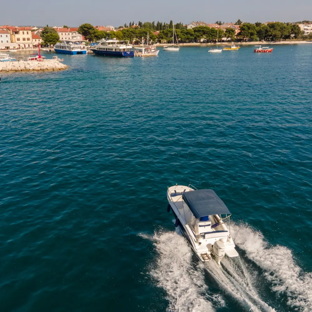 Andromeda 25