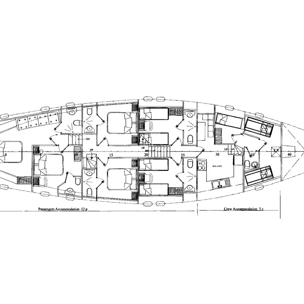 Iris PS 5