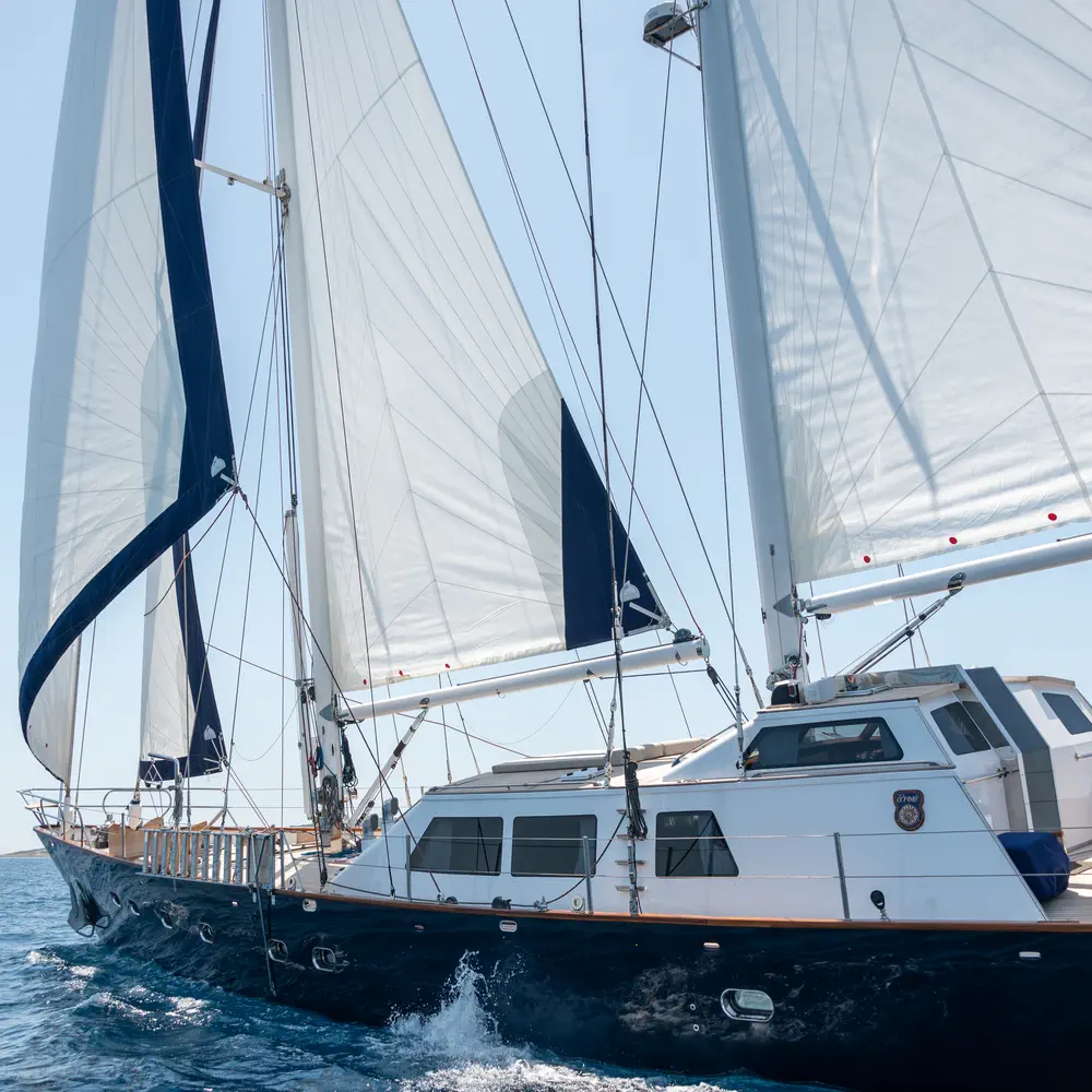 Spirit L 3