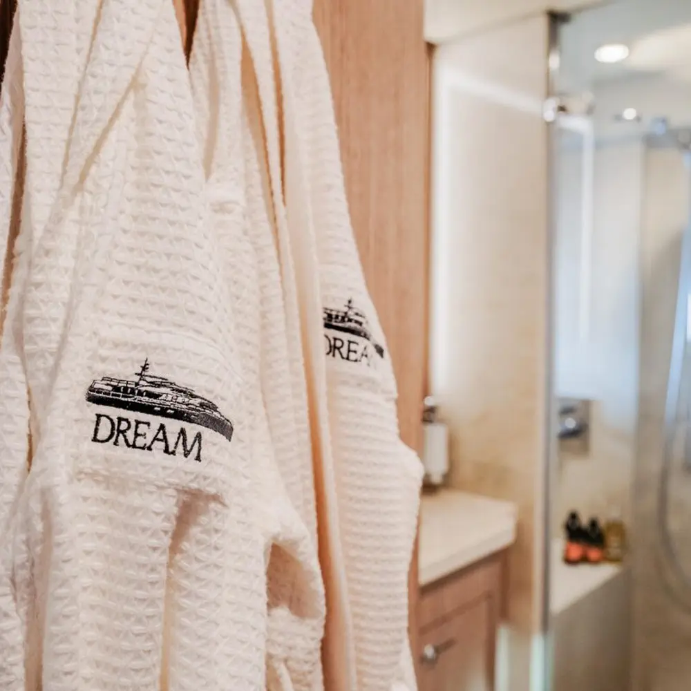 Dream 3