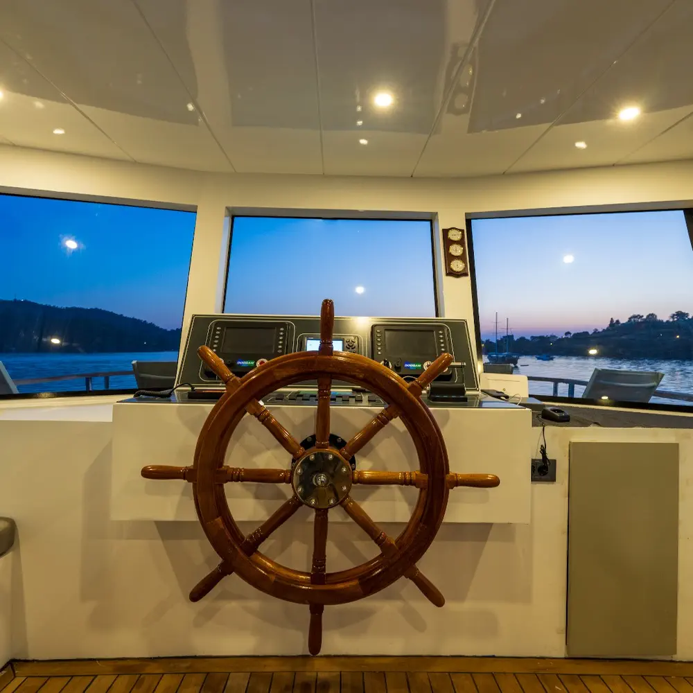 Albatros Explorer 29