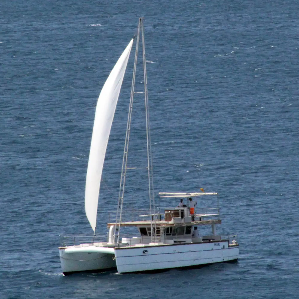 Pearl 10
