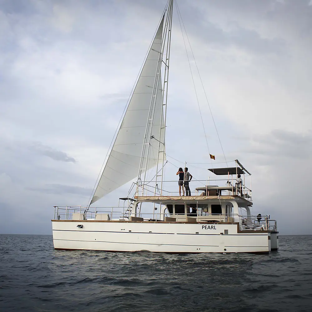 Pearl 13