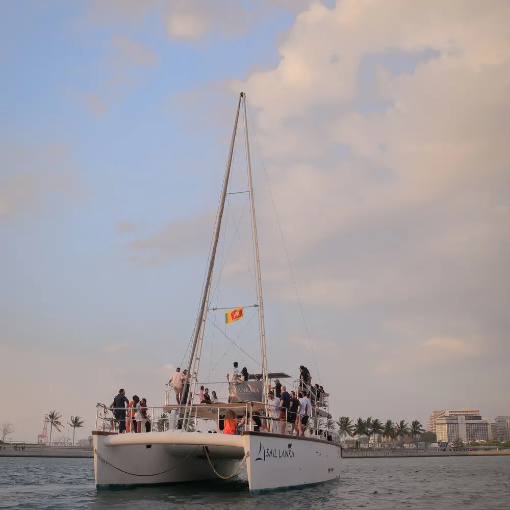 Pearl 12