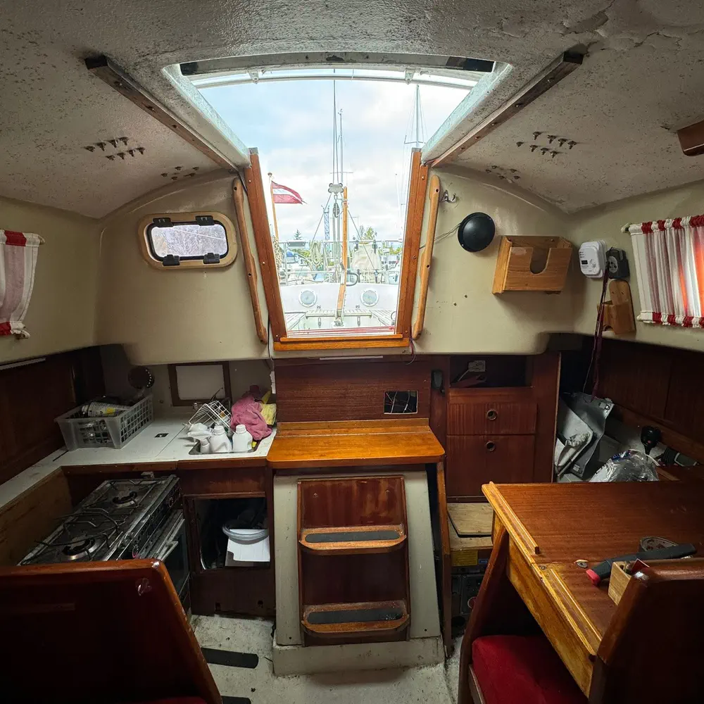 Eleonora 4
