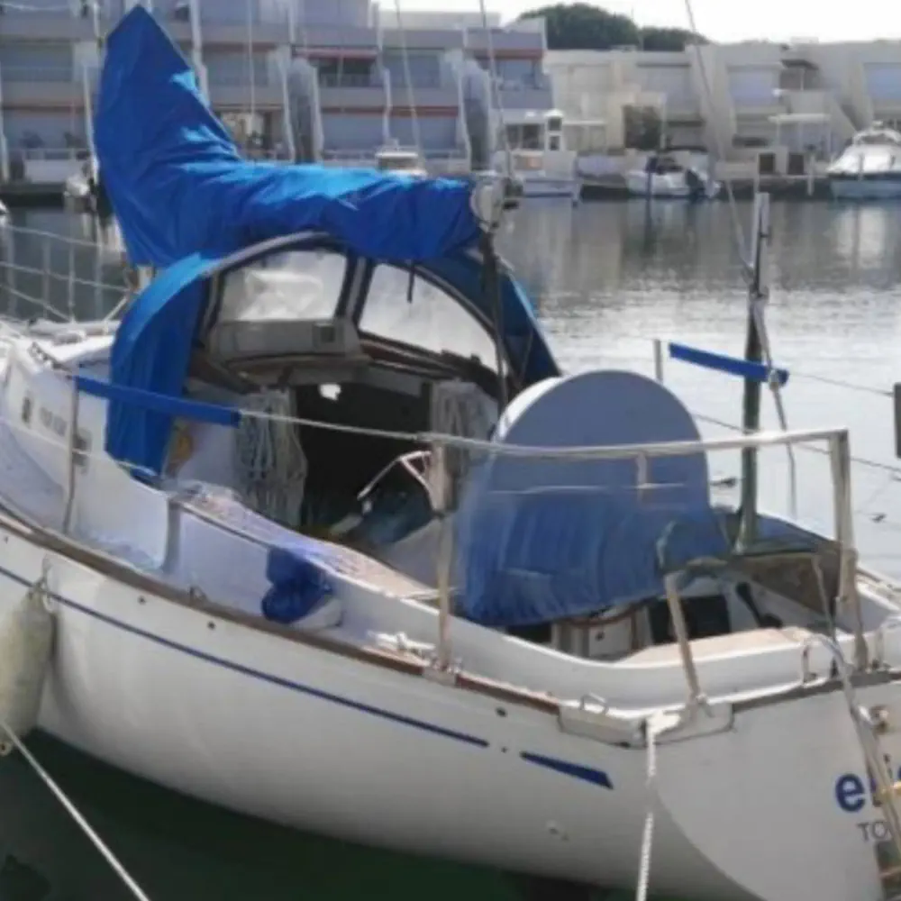 Mini Swan 4