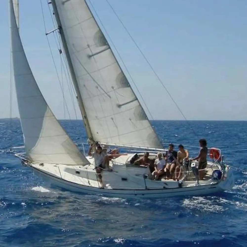 Mini Swan 2