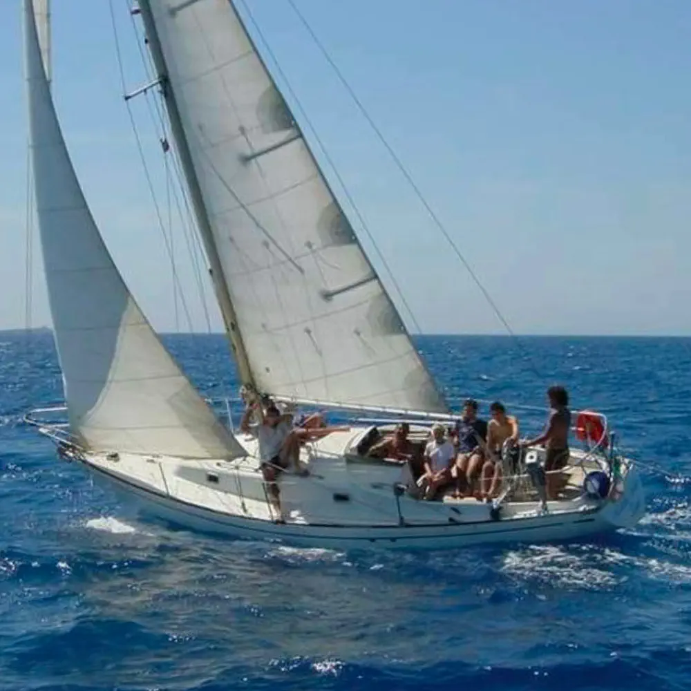 Mini Swan 6