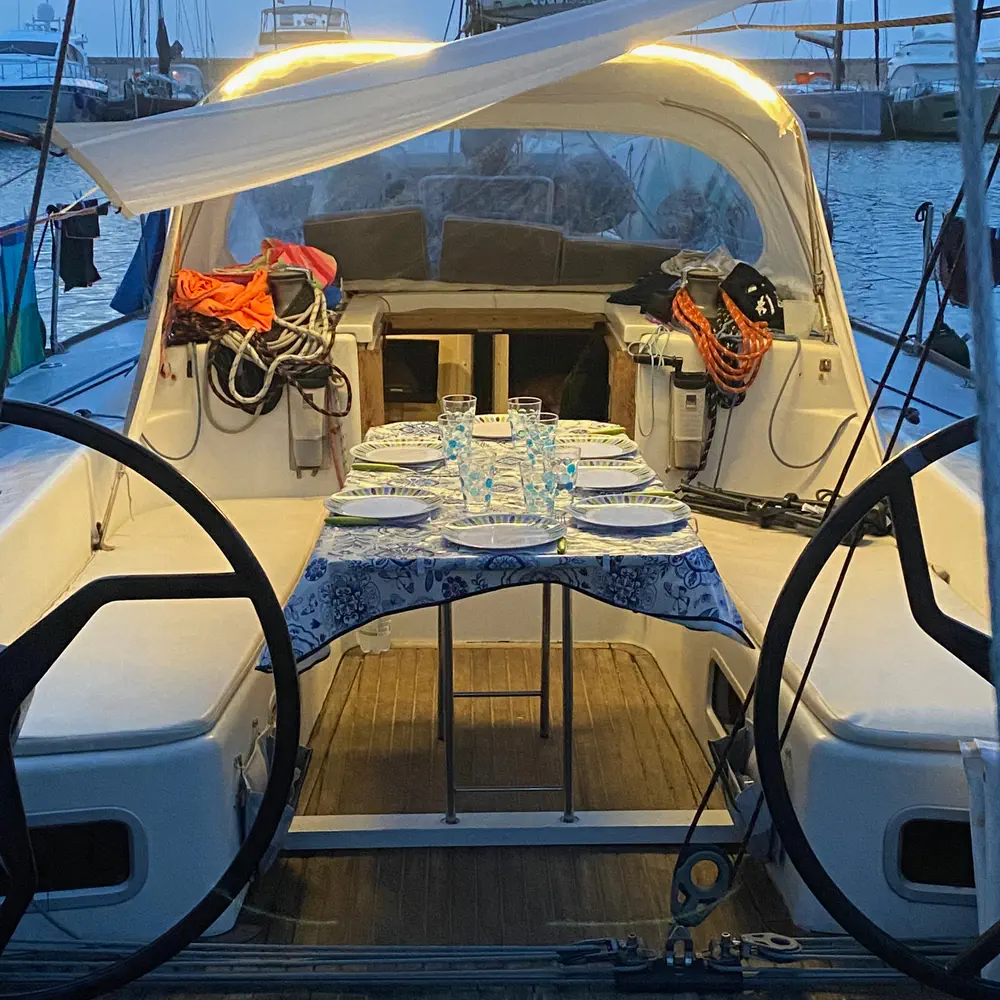 Wasabi 8