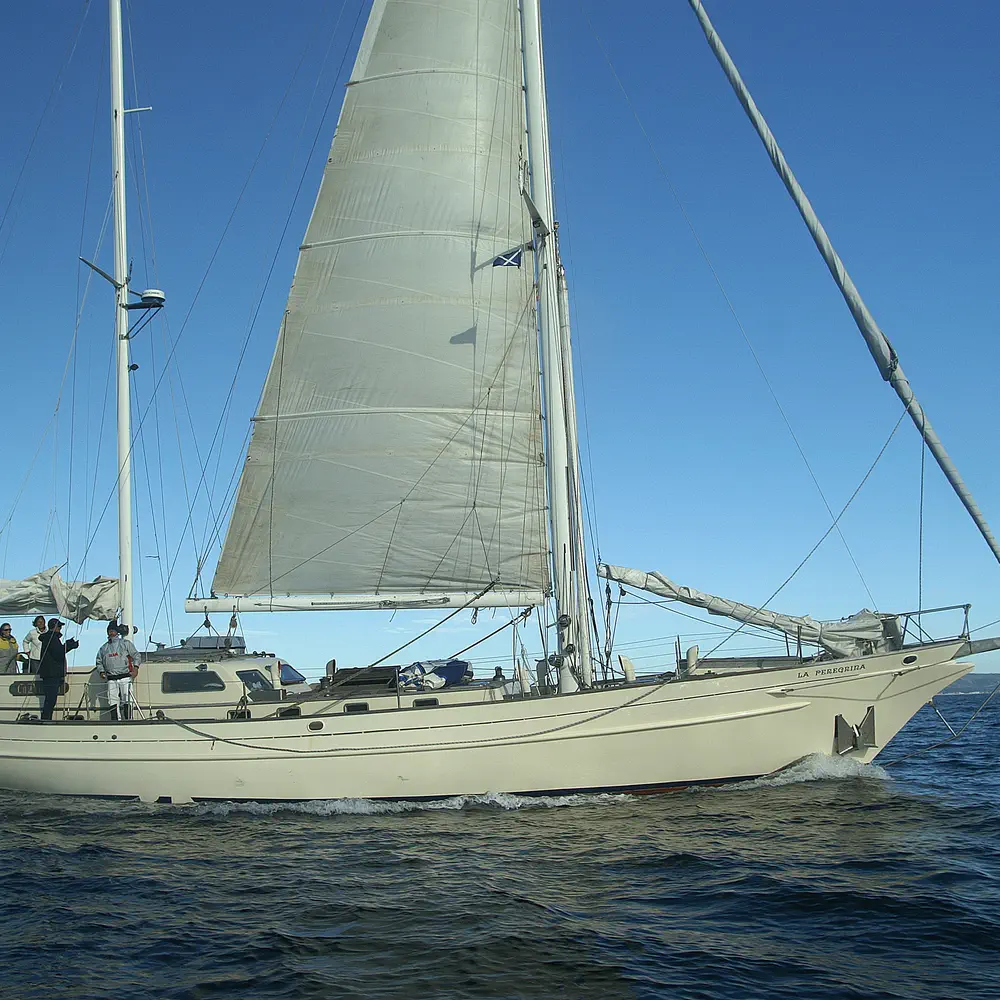La Peregrina 3