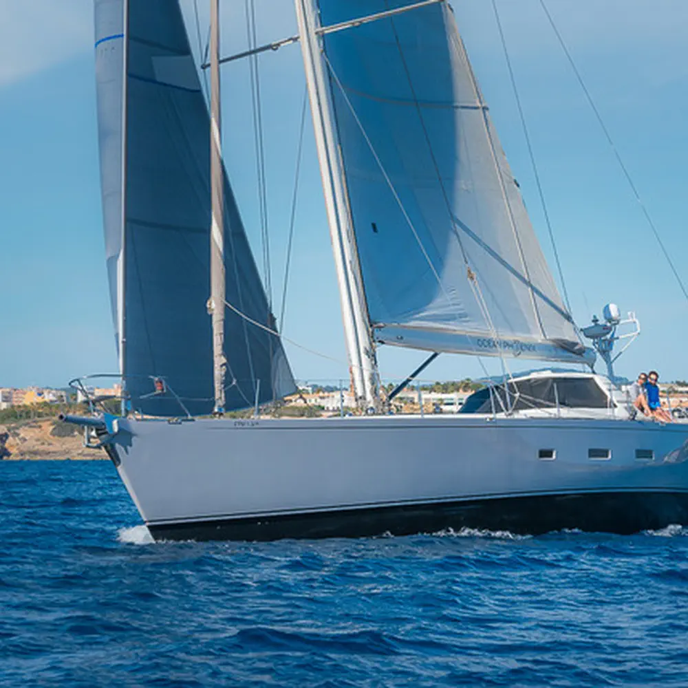 Ocean Phoenix 29