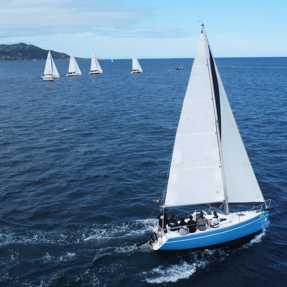 Moca 29