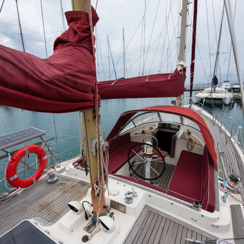 Asterias 6
