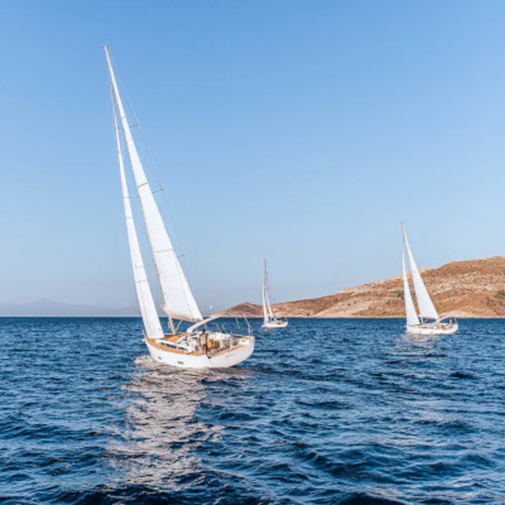 Athena 6