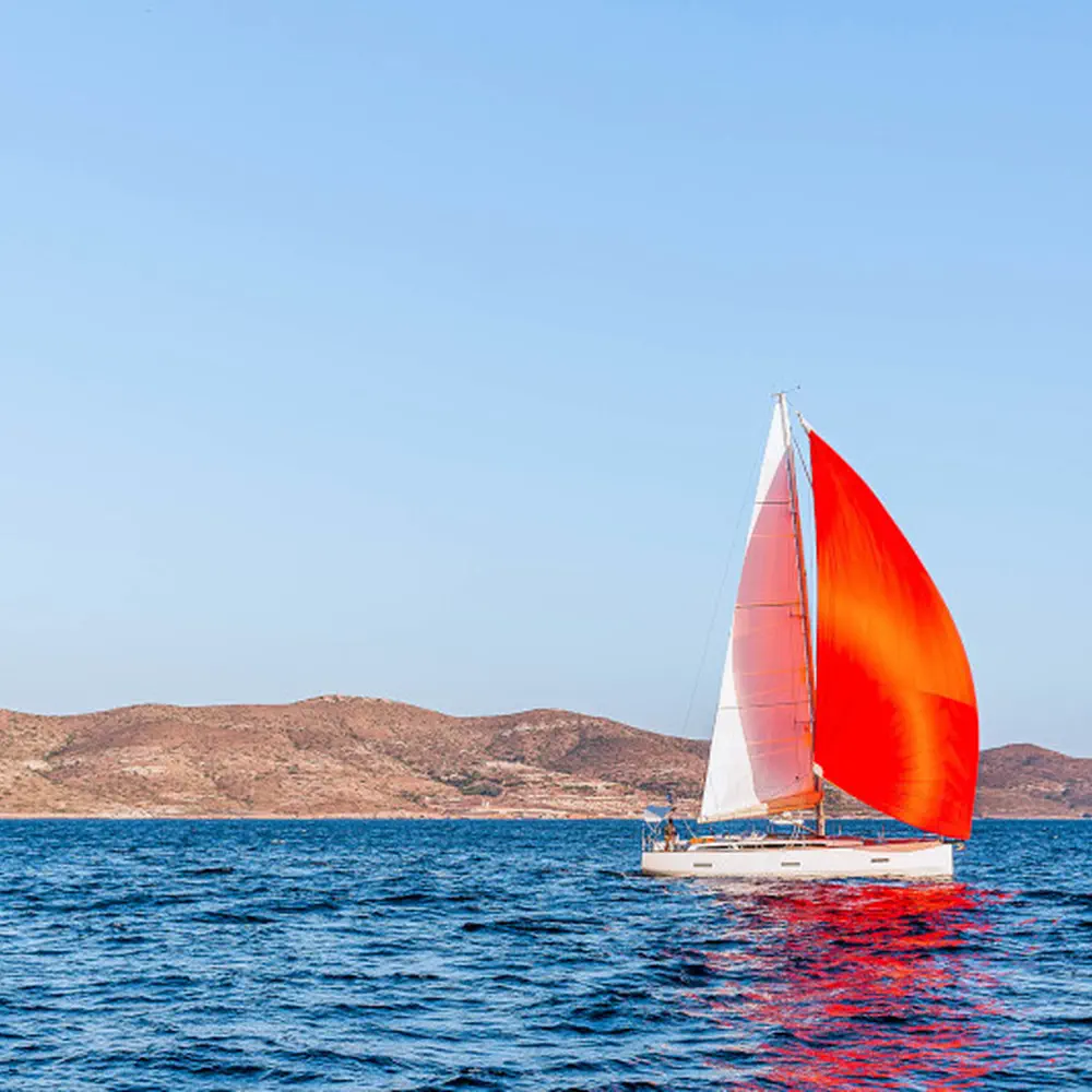 Athena 24