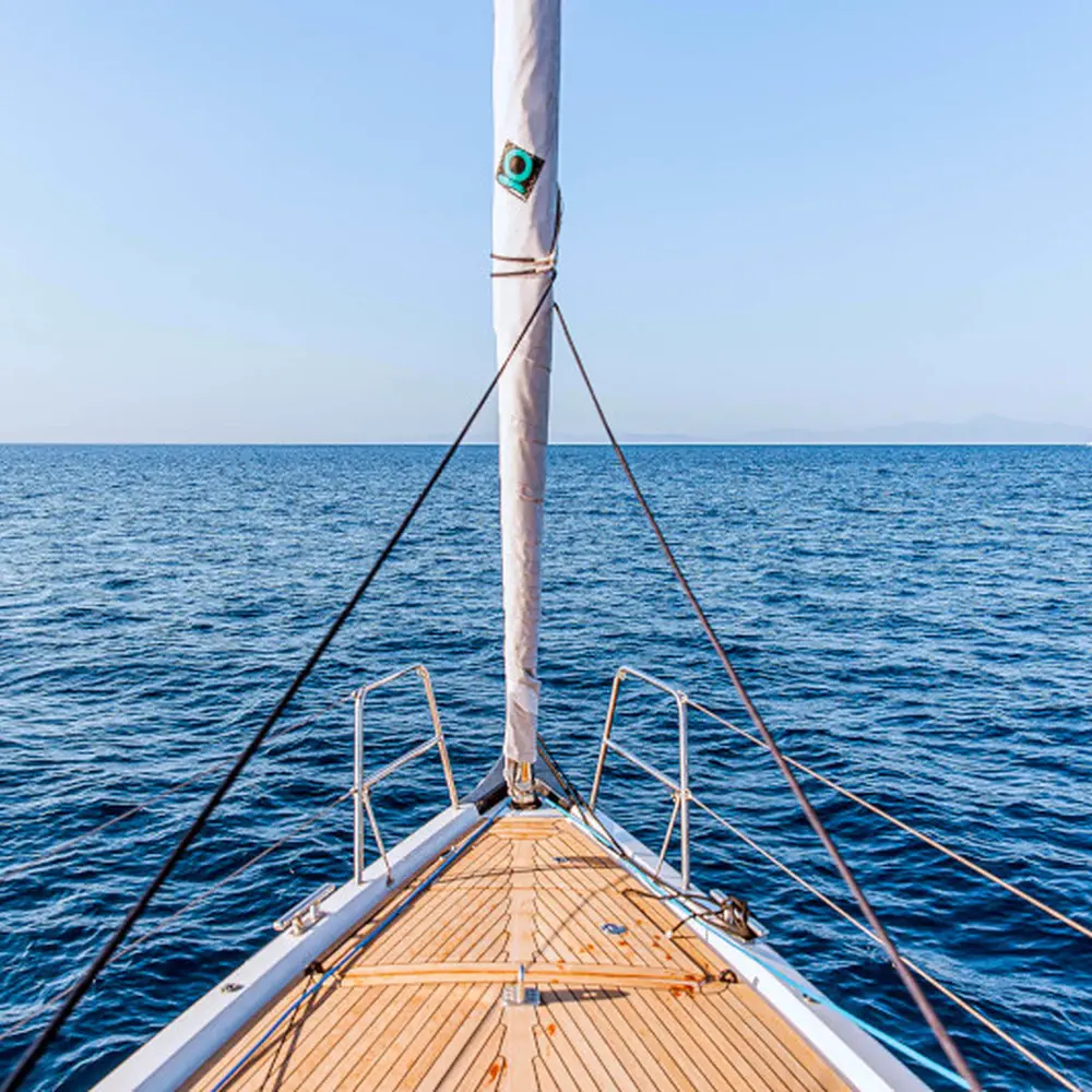 Sophia 34