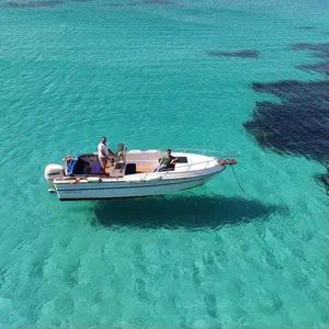 motor boat, Gobbi 23 Valkyrya II