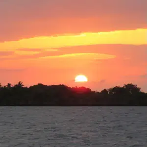 thumb 28