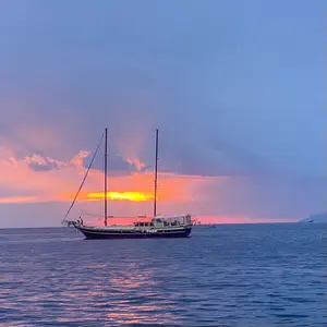 thumb 29